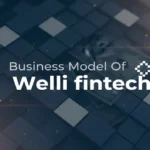 Business Model Of Welli Fintech